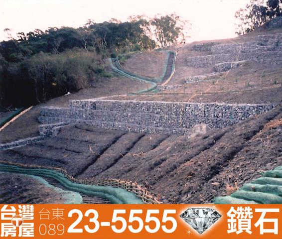 台東仲介