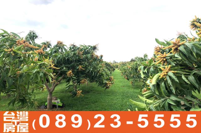 台東房地產買賣