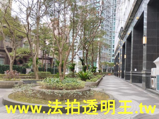 信義區法拍大樓-12