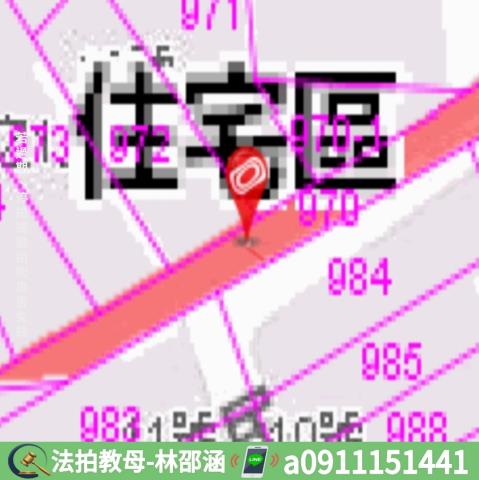 屏東枋寮法拍透天-9