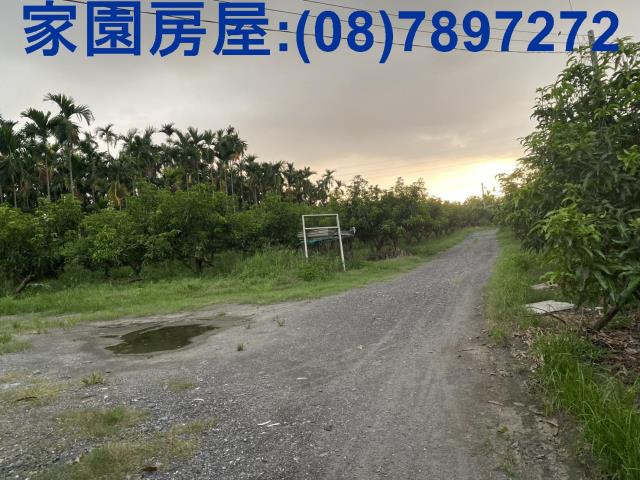 內埔合法豬舍-3