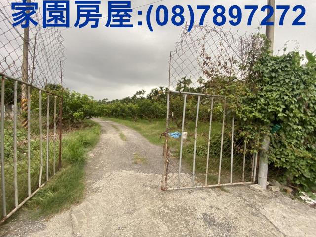 內埔合法豬舍-1