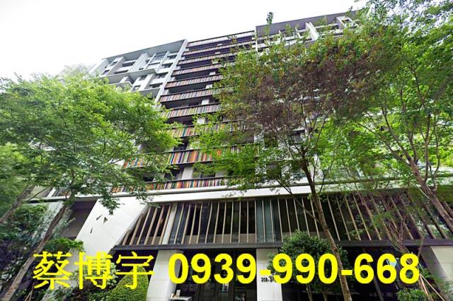 精銳軟園1號A區法拍