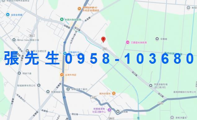 新園法拍透天-4