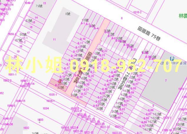 高雄林園法拍透天-5