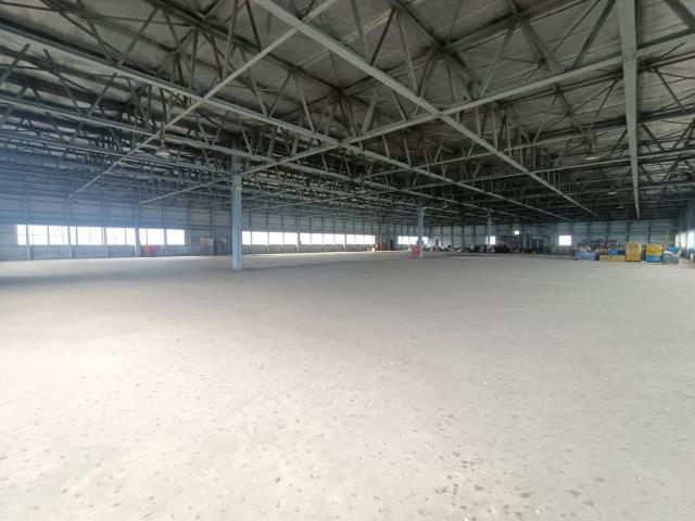 桃園龍潭廠房-6