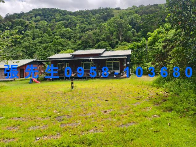 花蓮萬榮法拍透天-7