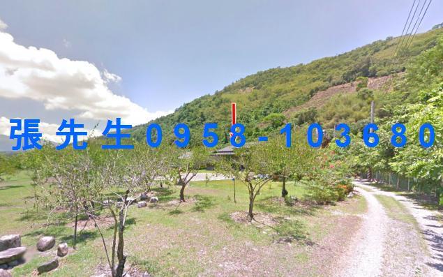 花蓮萬榮法拍透天-9