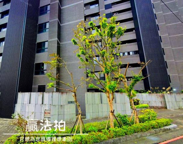 新店大樓拍賣-3