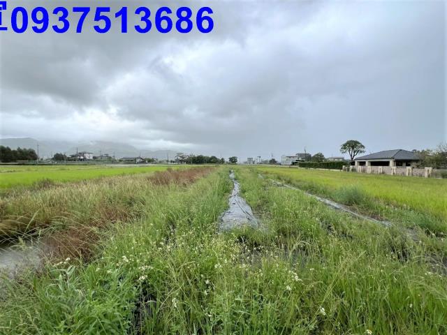 員山農糧產品加工室-9