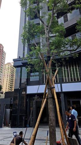 左營大樓-13