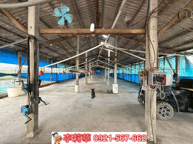 台南後壁畜牧場-11