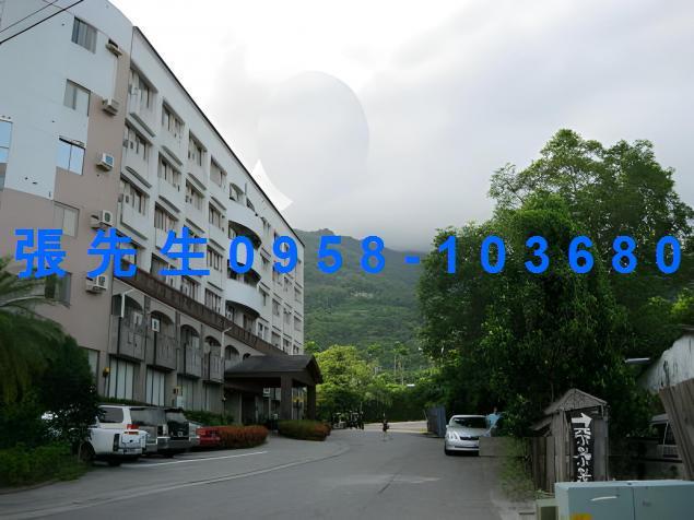 卑南法拍華廈-2