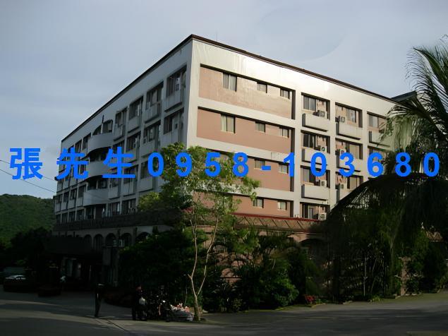 卑南法拍華廈-8