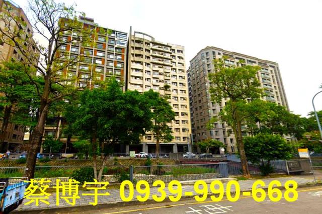 大地子民二期法拍屋