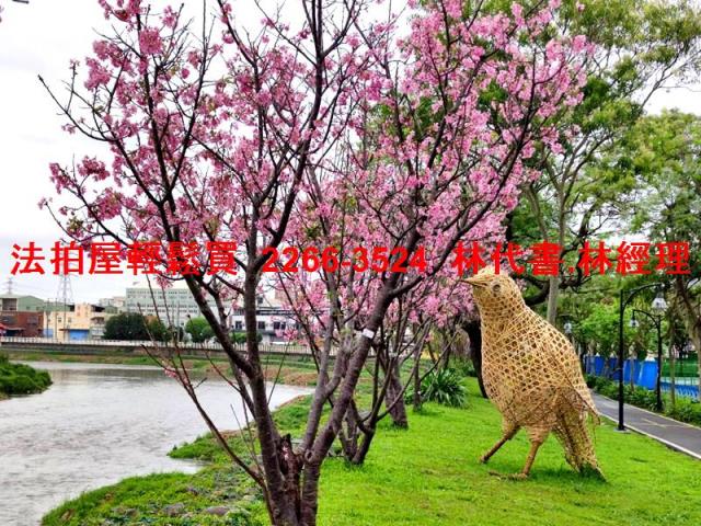 蘆竹華廈拍賣-10