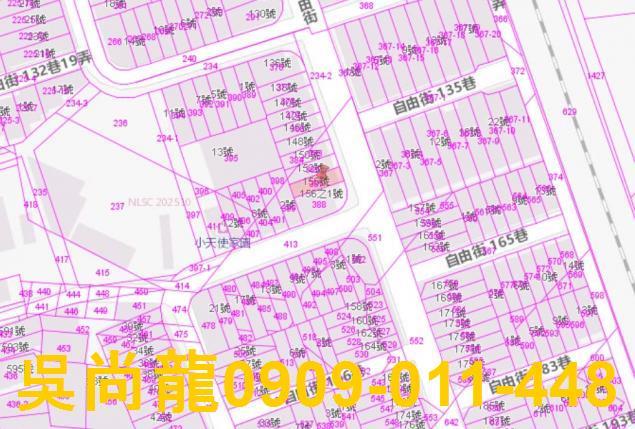 路竹法拍透天-3