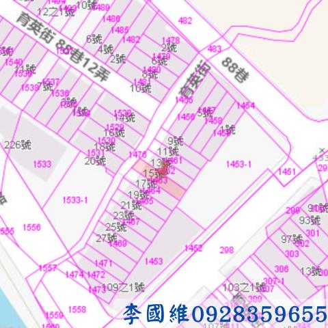 埔里法拍透天-3