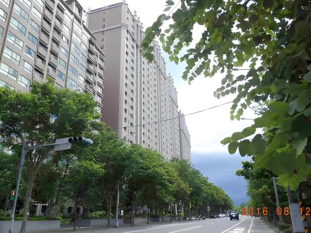 樹林拍賣大樓-5