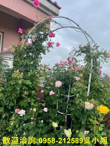 新竹竹北農舍-14