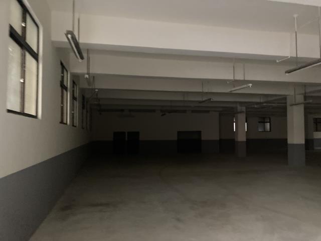 桃園八德廠房-3