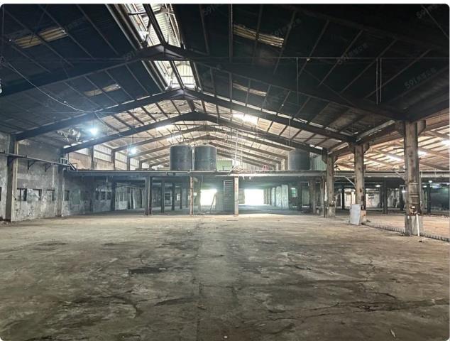 桃園中壢廠房-2