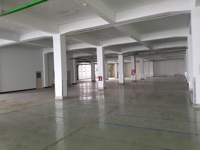 桃園中壢廠房-1