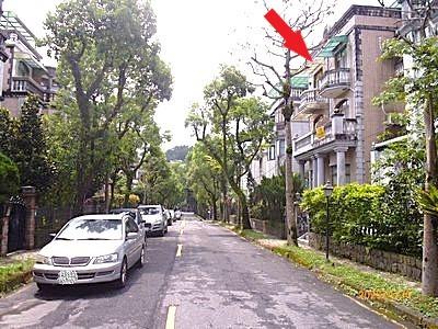 新北別墅拍賣-4