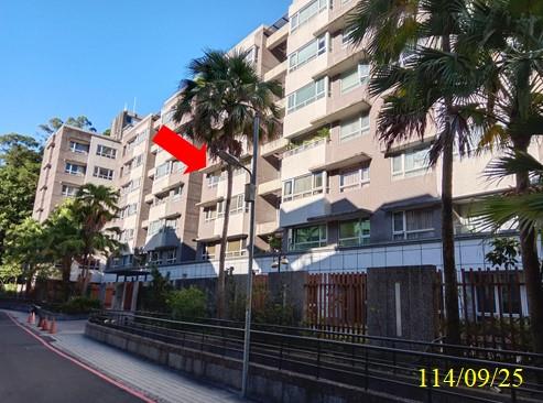 新北拍賣華廈-2