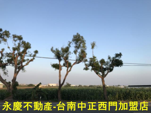 台南佳里透天-9