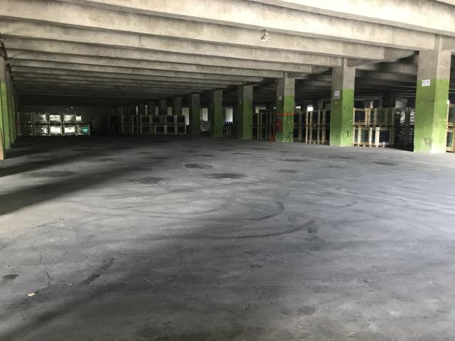 苗栗頭份廠房-4