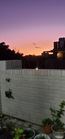 台中東勢透天-1