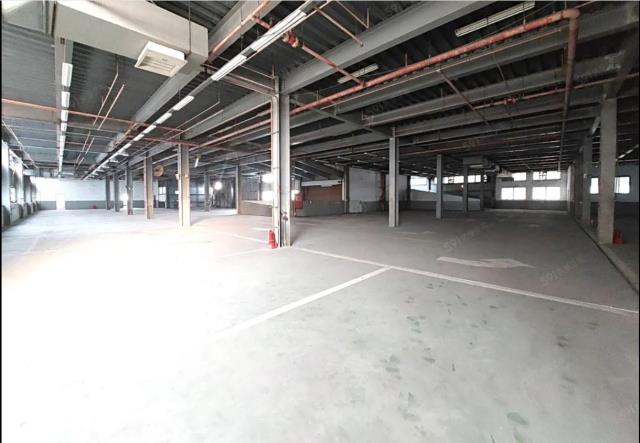 桃園蘆竹廠房-4