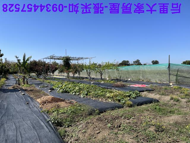 台中后里資材室-3