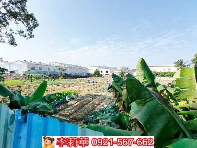 台南歸仁廠房-12