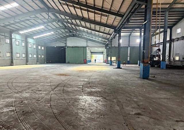 桃園大園廠房-3