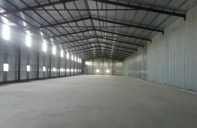 桃園大園廠房-1