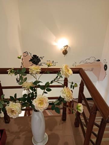 台東台東市別墅-14