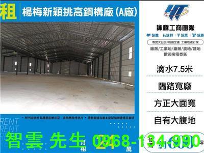 楊梅倉庫-1
