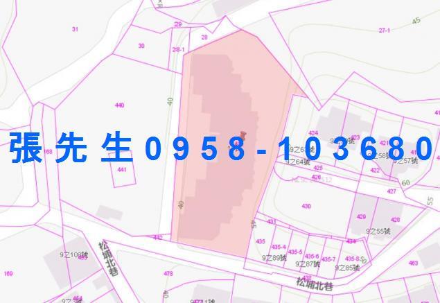 鳥松法拍華廈-3