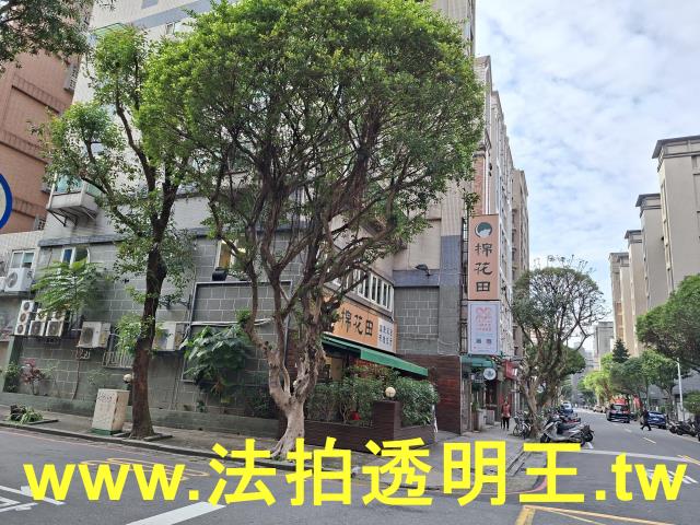 新北新店法拍華廈-10