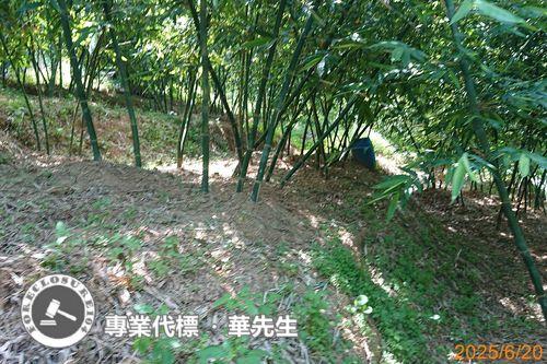 桃園區法拍華廈-10