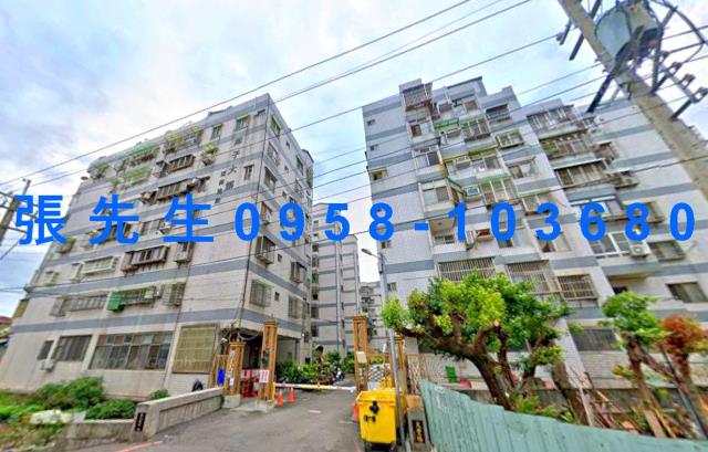 潭子拍賣華廈-1