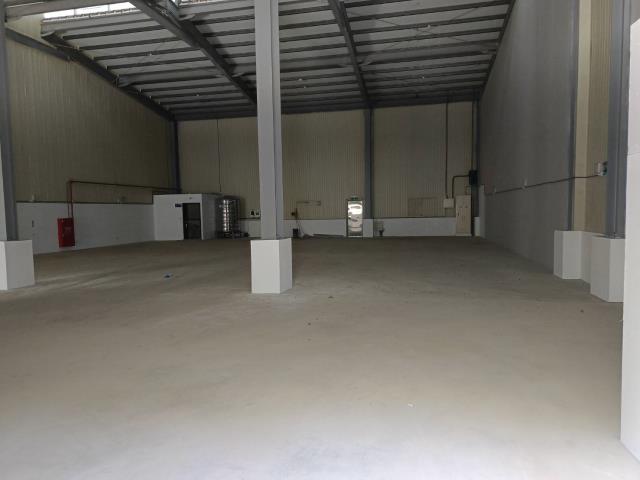 新北樹林倉庫-2