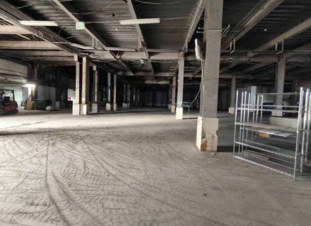 桃園中壢廠房-1