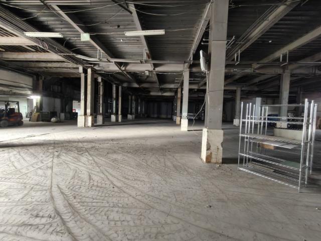 桃園中壢廠房-2