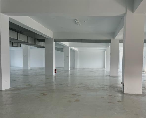 桃園八德廠房-1