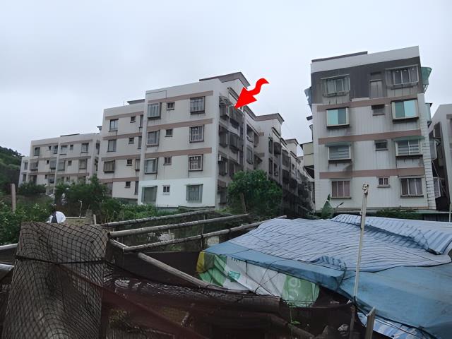 中正區公寓法拍-2