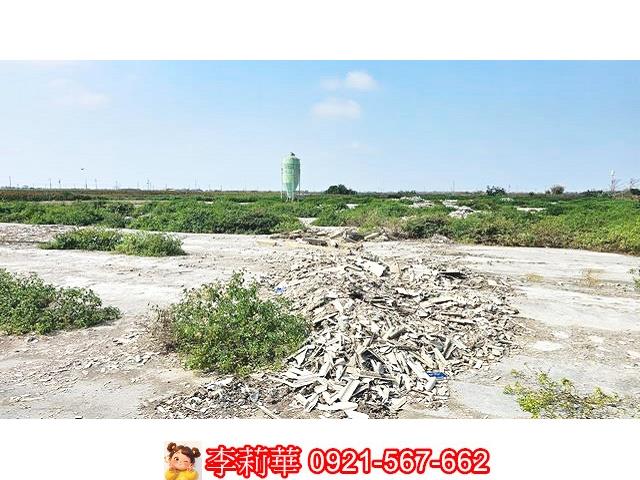 台南養雞場-10