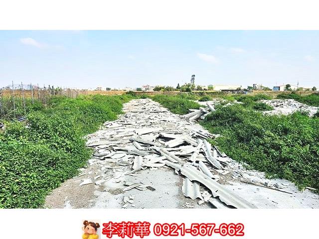 台南養雞場-11